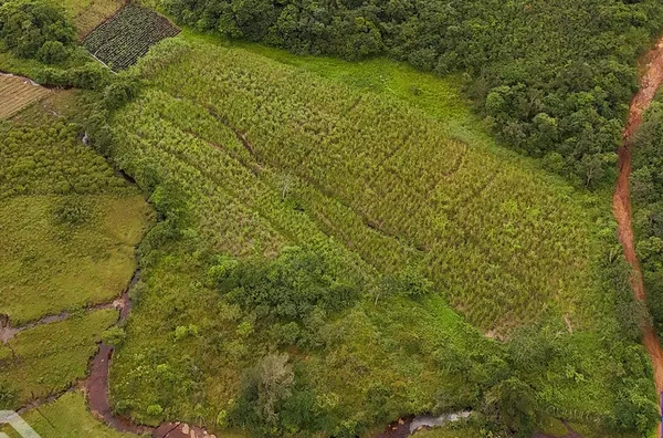 TERRENO DE 05H PRÓXIMO A CE 187 EXCELENTE PARA AGRICULTURA 