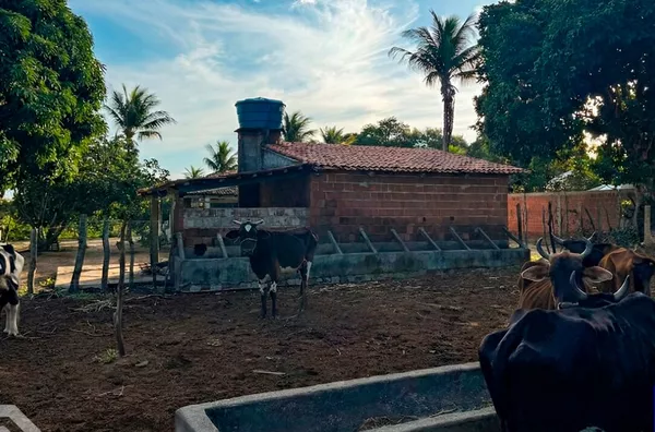 SÍTIO COM 04 HECTARES À VENDA EM SÃO BENEDITO