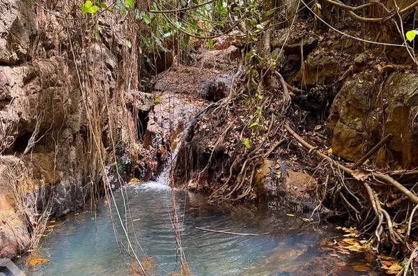 PROPRIEDADE ESPETACULAR COM 25 HECTARES - NO PÉ DE SERRA, CE
