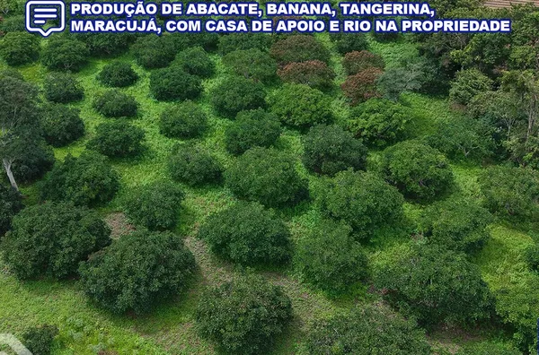 Sítio produtivo de 11 hectares para venda,  Zona Rural, Ibiapina
