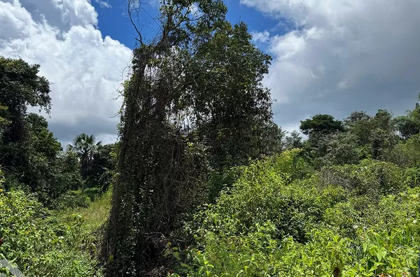 TERRENO DE 05H PRÓXIMO A CE 187 EXCELENTE PARA AGRICULTURA 