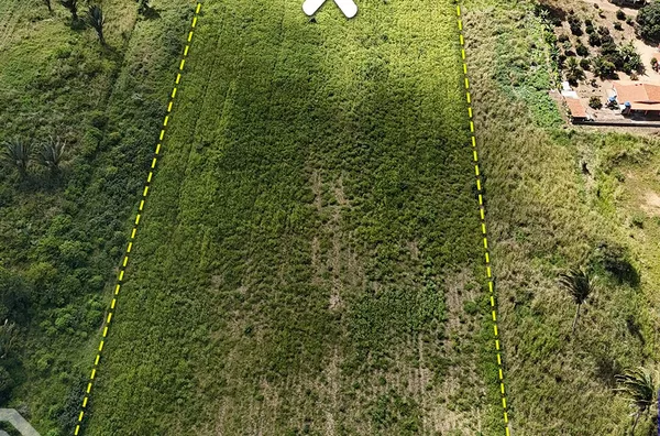TERRENO DE 04 HECTARES SÍTIO PIMENTEIRA