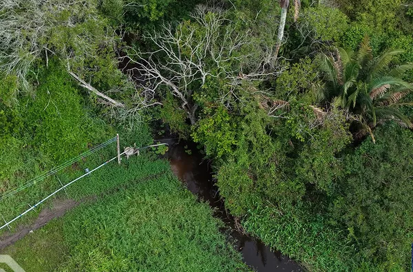 Sítio produtivo de 11 hectares para venda,  Zona Rural, Ibiapina