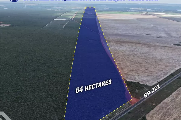 64 HECTARES À VENDA NA BR-222 Tianguá