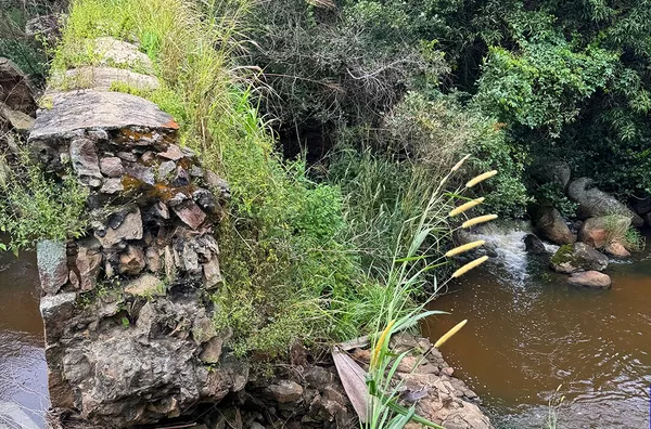 SITIO CHAPADA 21 HECTARES - SÃO BENEDITO