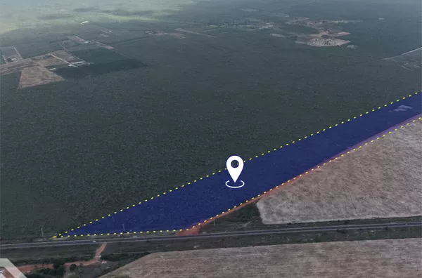 64 HECTARES À VENDA NA BR-222 Tianguá