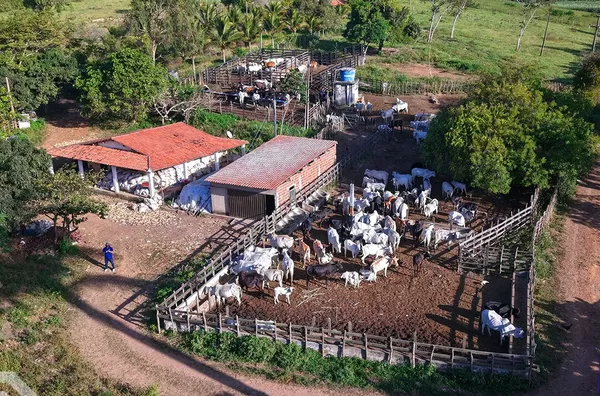  FAZENDA COM 54,9 HECTARES À VENDA – UMA JOIA RARA NA SERRA DA IBIAPABA! 