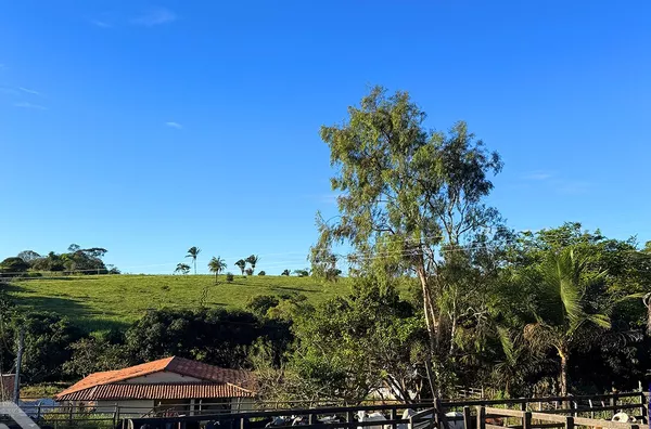  FAZENDA COM 54,9 HECTARES À VENDA – UMA JOIA RARA NA SERRA DA IBIAPABA! 