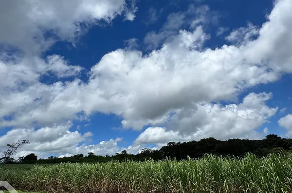 TERRENO DE 7,4H PRÓXIMO A CE 187, EXCELENTE PARA AGRICULTURA 