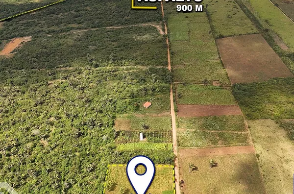  TERRENO EXCELENTE PARA CHÁCARAS OU AGRICULTURA DISPONÍVEL NO SÍTIO MURICITUBA!