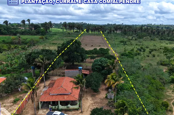 SÍTIO COM 04 HECTARES À VENDA EM SÃO BENEDITO