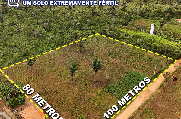  TERRENO EXCELENTE PARA CHÁCARAS OU AGRICULTURA DISPONÍVEL NO SÍTIO MURICITUBA!