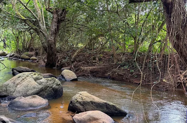 PROPRIEDADE RURAL COM 52 HECTARES – SÍTIO CHAPADA, SÃO BENEDITO/CE