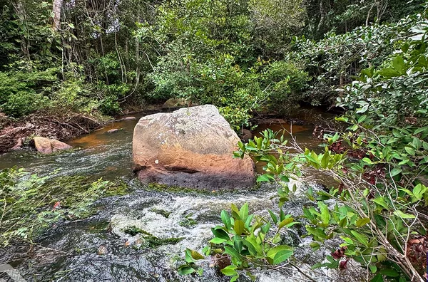 SITIO CHAPADA 21 HECTARES - SÃO BENEDITO