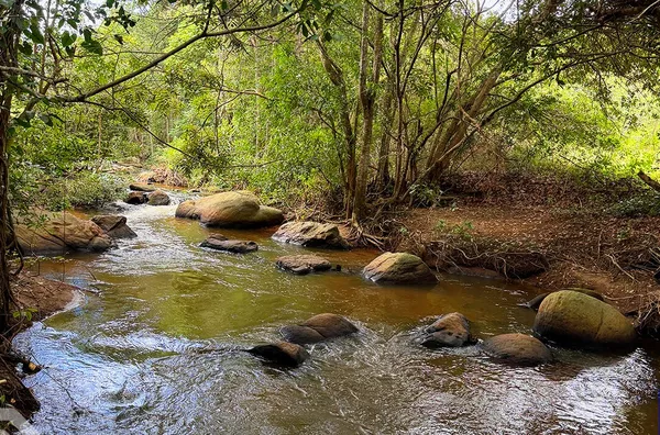 SITIO CHAPADA 21 HECTARES - SÃO BENEDITO