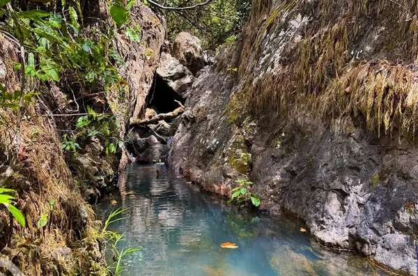 PROPRIEDADE ESPETACULAR COM 25 HECTARES - NO PÉ DE SERRA, CE