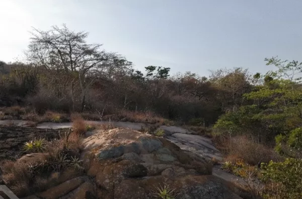 Terreno com vista pro Vale à venda, Vicosa Do Ceara