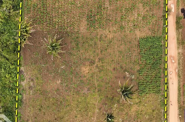  TERRENO EXCELENTE PARA CHÁCARAS OU AGRICULTURA DISPONÍVEL NO SÍTIO MURICITUBA!