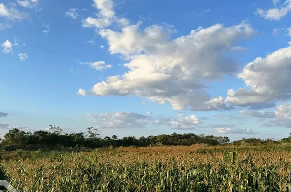 15 HECTARES À VENDA EM SÃO BENEDITO