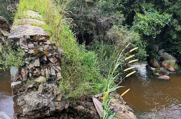 PROPRIEDADE RURAL COM 52 HECTARES – SÍTIO CHAPADA, SÃO BENEDITO/CE