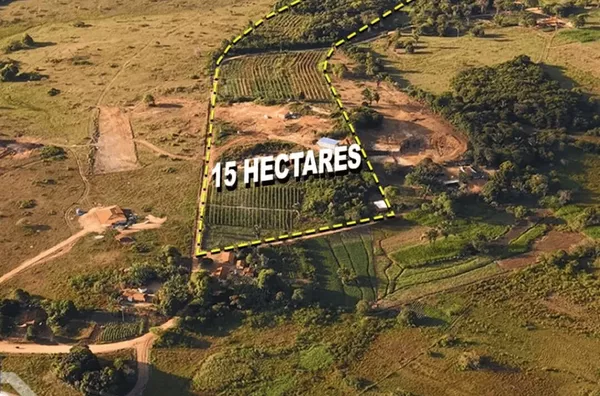15 HECTARES À VENDA EM SÃO BENEDITO