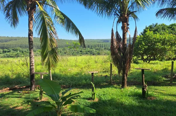 Fazenda para venda - Avai - pomar - mangueira para gado - 25500m²