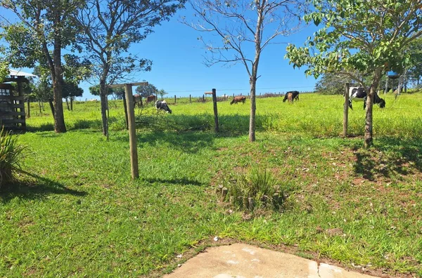 Fazenda para venda - Avai - pomar - mangueira para gado - 25500m²
