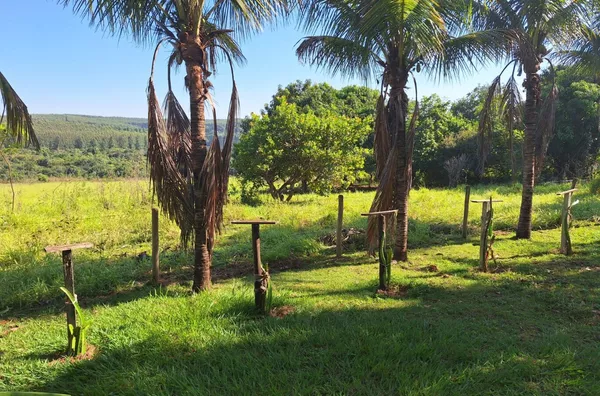 Fazenda para venda - Avai - pomar - mangueira para gado - 25500m²