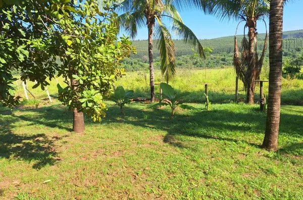 Fazenda para venda - Avai - pomar - mangueira para gado - 25500m²