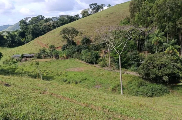Sítio para venda, Riograndina, Nova Friburgo - Foto 8
