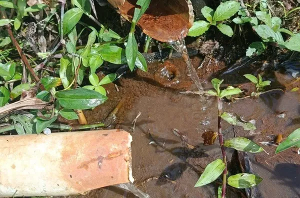Sítio para venda, Riograndina, Nova Friburgo - Foto 12