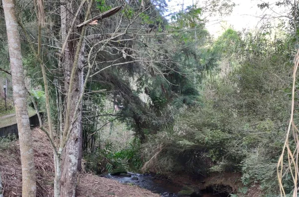 Sítio para venda, Riograndina, Nova Friburgo - Foto 6