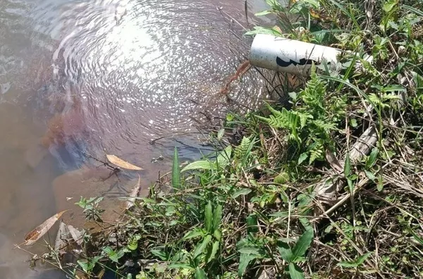 Sítio para venda,  Riograndina, Nova Friburgo