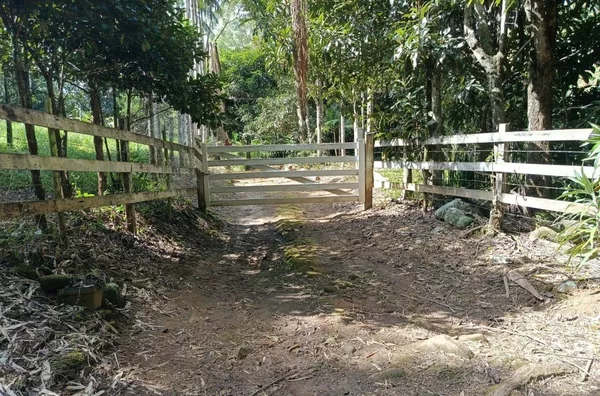 Sítio para venda, Riograndina, Nova Friburgo - Foto 14