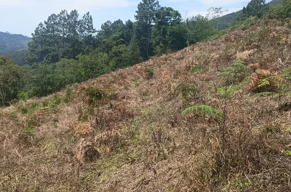 Terreno para venda,  Cascatinha, Nova Friburgo