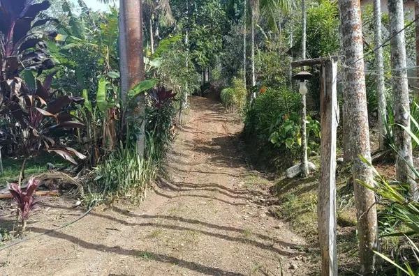 Sítio para venda, Riograndina, Nova Friburgo - Foto 17