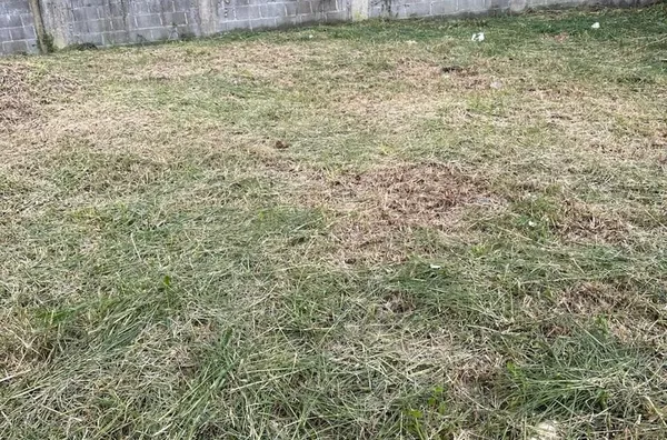 Terreno para venda,  Sitio São Luiz / Cônego, Nova Friburgo