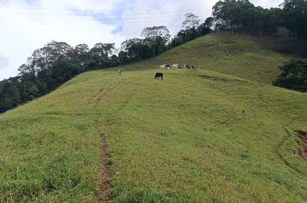 Sítio para venda,  Riograndina, Nova Friburgo