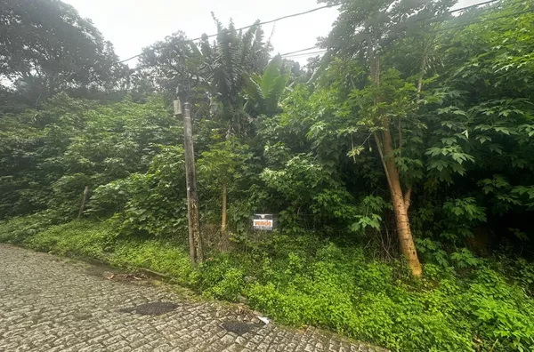 Terreno para Venda em Nova Friburgo / RJ no bairro PRADO