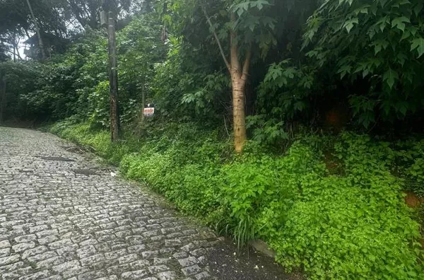 Terreno para Venda em Nova Friburgo / RJ no bairro PRADO