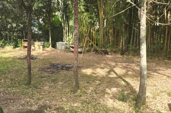 Casa para Venda em Nova Friburgo / RJ no bairro CÔNEGO