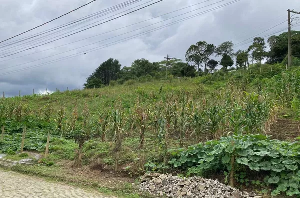 Terreno para Venda em Nova Friburgo / RJ no bairro CÔNEGO