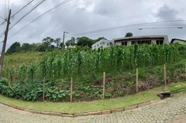Terreno para Venda em Nova Friburgo / RJ no bairro CÔNEGO
