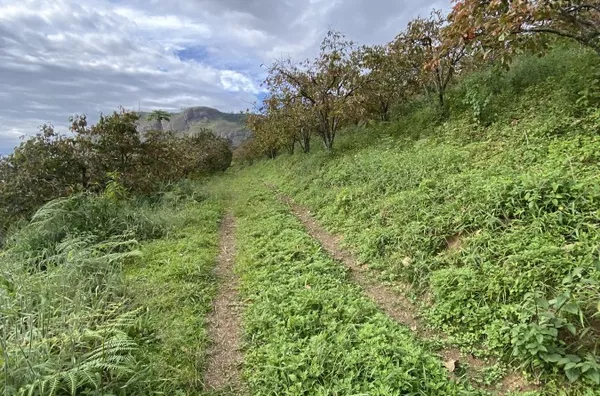 Terreno para Venda em Nova Friburgo / RJ no bairro cascatinha/Garrafão