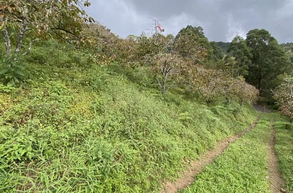 Terreno para Venda em Nova Friburgo / RJ no bairro cascatinha/Garrafão
