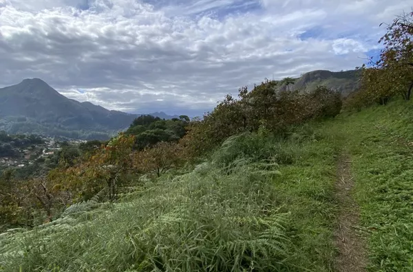 Terreno para Venda em Nova Friburgo / RJ no bairro cascatinha/Garrafão