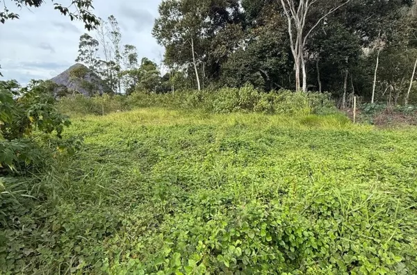 Terreno para Venda em Nova Friburgo / RJ no bairro SÃO CLEMENTE