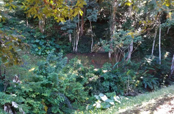 Terreno Residencial para Venda no bairro Ponte da Saudade