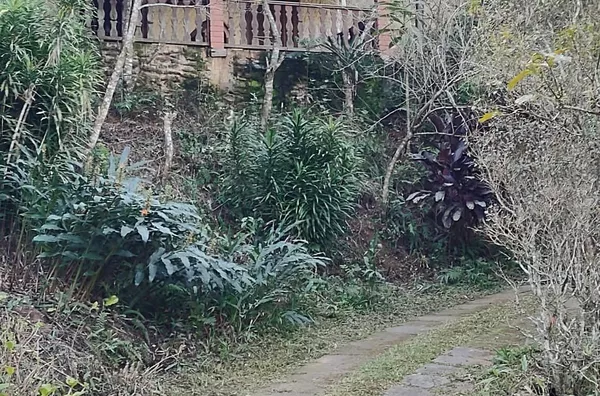 Sítio para venda,  Riograndina, Nova Friburgo