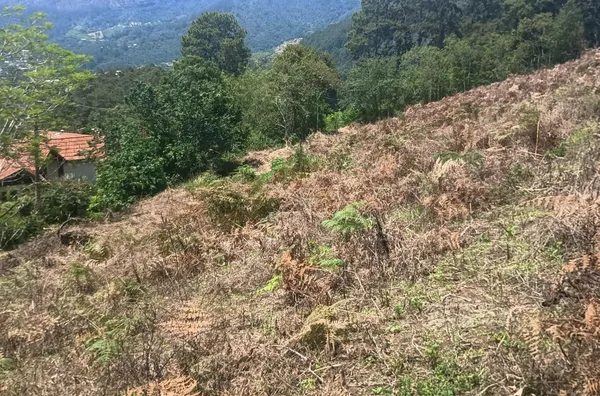 Terreno para venda, Cascatinha, Nova Friburgo - Foto 13